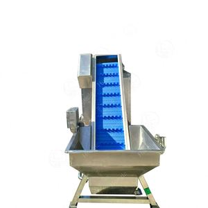 Marka yeni yıkama endüstriyel meyve çamaşır makinesi kabarcık kova asansörü konveyör ile yüksek kalite - Product Image 2