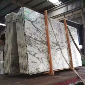 Chine usine personnalisé coupe marbre blanc plancher or design prix en inde
