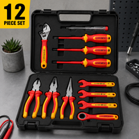 Kit d'outils de réparation de haute précision certifié VDE avec étui rigide, personnalisation OEM, expédition rapide, ensemble d'outils à main