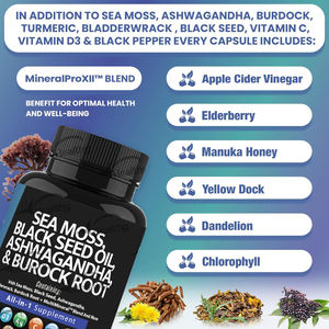 Cápsulas <span class=keywords><strong>de</strong></span> <span class=keywords><strong>Extracto</strong></span> <span class=keywords><strong>de</strong></span> Cúrcuma Avanzado Plus OEM 95%, Complejo <span class=keywords><strong>de</strong></span> Musgo Marino Irlandés con Alga Marina y Raíz <span class=keywords><strong>de</strong></span> Bardana para Adultos - Product Image 5