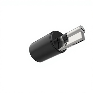 OEM retrofit tuya smart digital door <b>lock</b> motorised cylinder <b>lock</b> similar Tedee electronic keypad <b>lock</b> - Product Image 1
