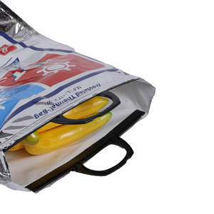 Bolsa isotérmica con logotipo personalizado, diseño moderno, cierre de cremallera y asa de plástico <span class=keywords><strong>para</strong></span> alimentos - Product Image 2