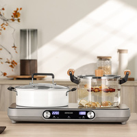Cuisinière électrique infrarouge domestique 3500W à deux brûleurs, plaque vitrocéramique multifonction