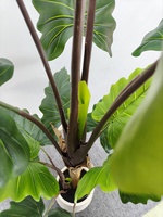 Plantes artificielles, arbres bonsaï, 120 cm, 150 cm, plantes artificielles en pot, plantes de taro, arbre bonsaï pour la décoration de la maison, de l'hôtel, du café, du restaurant