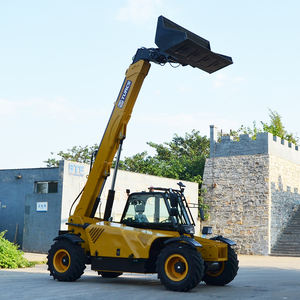 3-טון טלסקופי טלסקופי מנוע דיזל מנוע דלק מלגזה מנוף חדש לשימוש 6 מ 'הרמת גובה החווה - Product Image 2