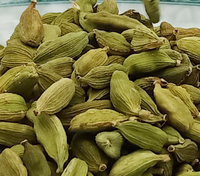 Épices naturelles de l'Inde, gousses de Hari Elachi, graines entières, fruits, 6-7 mm, épices, vente chaude