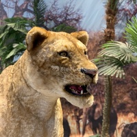 Centres commerciaux Radar Contrôle Animal Intérieur Parc À Thème Décorations Animatronic Lion's Wife Nala Modèle