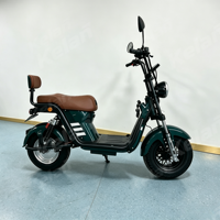 Vélo Électrique X21 Citycoco 1000W à Pneus Larges, Scooter Électrique 60V avec Batterie au Lithium, Vente en Gros Usine pour le Brésil