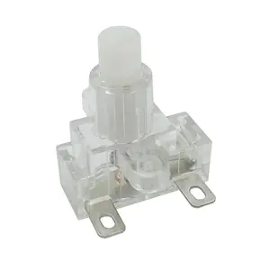 High Quality 2 pin Push Button Switches self-locking transparent color 19/24mm for Extension Socket 10A/16A 250V
