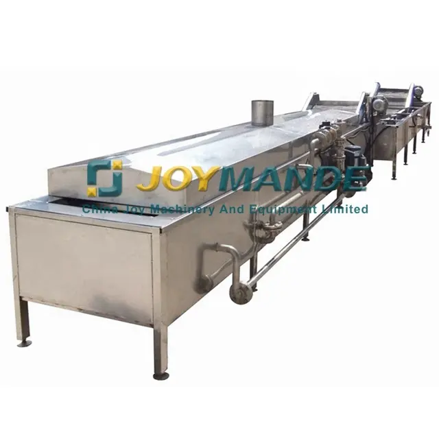 Automatic Industrial Fruit Blanching Mango Hot Water Treatment Machine Mango Fruit Blanching Machine