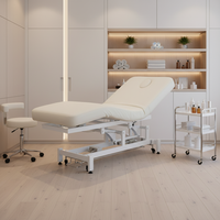 Camilla de Masaje Multifuncional de Lujo para Salón de Belleza y Spa, con 2 Motores Eléctricos, para Tratamientos Faciales, de Pestañas y Cosméticos