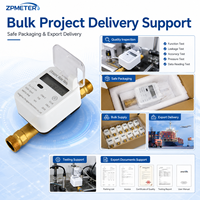 Compteur de débit industriel numérique à ultrasons en laiton/plastique IP68 compatible 4G NB-IoT Mbus Zigbee LoRaWAN sans valve