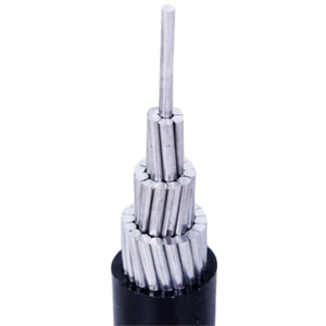 0.6/1KV jklyj AAC <span class=keywords><strong>สาย</strong></span>เคเบิลอลูมิเนียม<span class=keywords><strong>ไฟ</strong></span>ฟ้าแกนเดียวแรงดันต่ำ<span class=keywords><strong>สาย</strong></span><span class=keywords><strong>ไฟ</strong></span>ฟ้ากระแสสลับพร้อมปลอกพีวีซีฉนวนพีวีซีสำหรับเหนือศีรษะ - Product Image 2