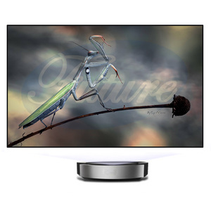 FUTURE Screen 100" 120" PET Crystal projection Screen UST ALR with XGIMI Lune <span class=keywords><strong>4K</strong></span> large UHD Laser projector - Product Image 1