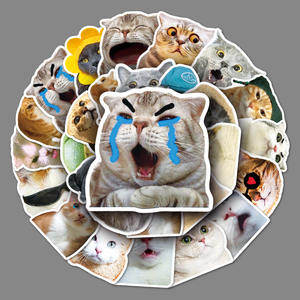 Interessante cartone animato impermeabile gatto <span class=keywords><strong>emoji</strong></span> decorazione adesivo materiale PVC stampa Offset all'ingrosso MOQ 100 pz - Product Image 2