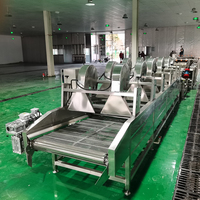 YIHAI Industriële Elektrische Blancheringslijn voor Aardappelen/Fruit/Groenten 1000kg/uur Voedselverwerkingsapparatuur CE
