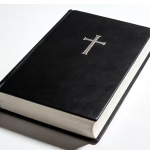 Nueva versión internacional Biblia Fuente Grande cubierta de cuero personalizable Kit de estudio cristiano inglés chino otros idiomas - Product Image 1