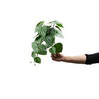 Decken behang Dekoration für Restaurant Künstliche grüne Pflanzen Rebe Blumen Stoff Material Fälscht Blumen für den Abschluss