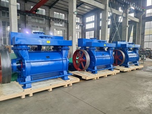 2BE Wholesale High Quality Horizontal Energy Saving Electric Driven <strong>Water</strong> Liquid Ring Vacuum <strong>Pump</strong> of Chlorine <strong>Gas</strong> Processing - Product Image 4