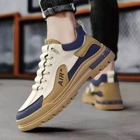 Chaussures Décontractées Tendance pour Hommes, Respirantes et à la Mode, Modèle Board avec Fermeture à Lacets, Doublure en Maille pour la Saison d'Automne