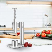Décortiqueur de dattes rouges en acier inoxydable, outil portable pour retirer les noyaux de cerises et d'olives, décortiqueur de fruits