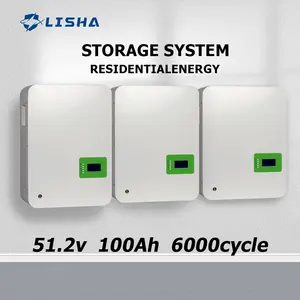 Lisha Powerwall 51.2V 100Ah 48V Power Storage Battery Solar Energy System 5kwh 7kwh 10kwh ESS LiFePO4 Lithium Ion Battery