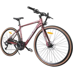 Дешевая цена Скрытая батарея электрический велосипед литиевая батарея e bike 14 скоростей 700C Электрический шоссейный велосипед