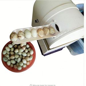 Limpiador Automático de Huevos de Pato Tipo Cepillo, Máquina Comercial para Limpiar Huevos de Ganso, Lavadora Eléctrica de Huevos - Product Image 1
