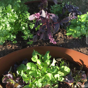 Bordure de jardin personnalisée en acier Corten XMK de 6,5 pieds de long, résistante aux intempéries, facile à installer, pour aménagement paysager et jardinières surélevées - Product Image 3