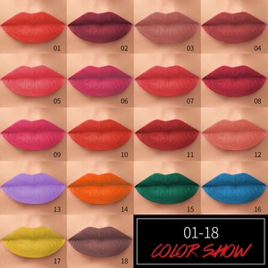 Lápiz Labial Negro en Tubo, Crema Mineral Mate, Resistente al Agua, Antiadherente, Popular en AliExpress, Venta Caliente Transfronteriza - Product Image 4