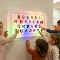 Juguete Educativo Interactivo LED que Desarrolla el Reconocimiento de Letras, la Percepción del Color, la Coordinación Mano-Ojo y la Motricidad Fina, Moderno