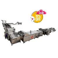 Volautomatische Industriële Bevroren Frieten Productielijn Cassave Verse Vinger Chips Making Machine Prijs