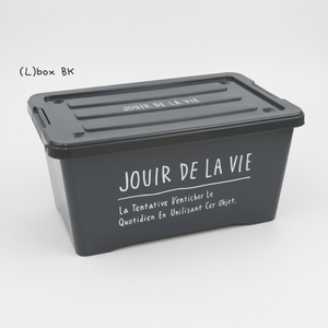 Caja de almacenamiento negra elegante BLK Days Stock Living Boxes - Product Image 1