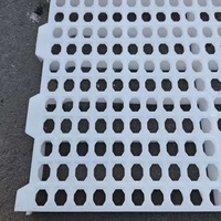 Plancher en plastique à lattes pour poulets 120*50cm, durable, de haute qualité, pour poulaillers et cailles