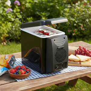 Портативный уличный домашний холодильник двойного назначения для кемпинга пляжный автомобиль небольшой автомобиль холодильник для хранения продуктов - Product Image 1