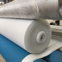Tissu géotextile non tissé en HDPE pour le drainage routier, la filtration, la séparation, le renforcement, la construction, les applications en pisciculture et en étang.