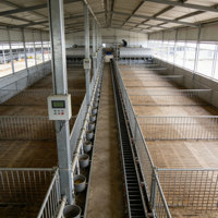 Bâtiment d'élevage de poulets au design moderne, poulailler entièrement automatisé