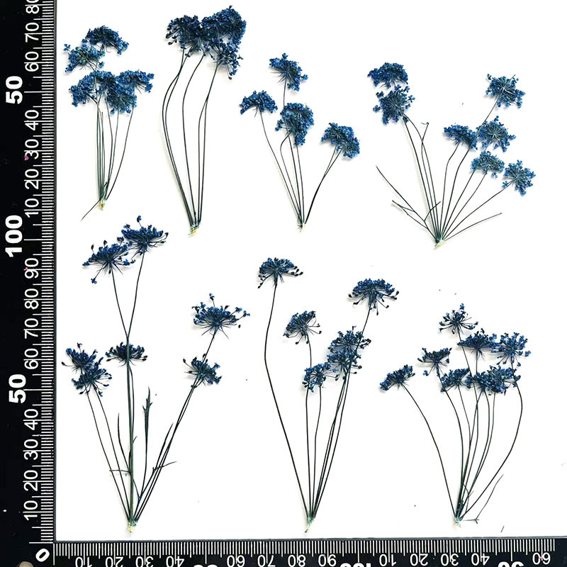 Bleu foncé