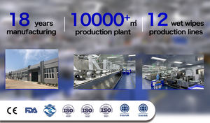 Lingettes humides écologiques en bambou pour animaux de compagnie 80 pièces par paquet de logo personnalisable au parfum doux pour le nettoyage domestique - Product Image 4