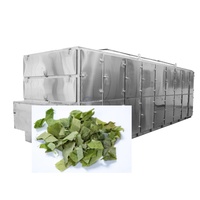 Promotion : Séchoir à bande maillée grande capacité pour feuilles d'Amla (Phyllanthus Emblica) pour ligne de production de séchage d'herbes ayurvédiques