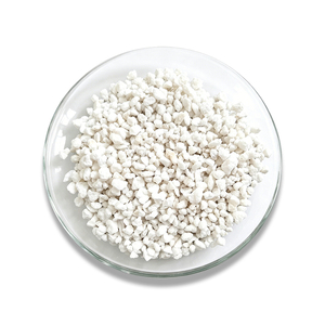 <span class=keywords><strong>Perlite</strong></span> expansée haute porosité légère et respirante pour mélange de potting pour plantes succulentes, cactus, orchidées, bonsaïs et amélioration du sol de jardin - Product Image 6