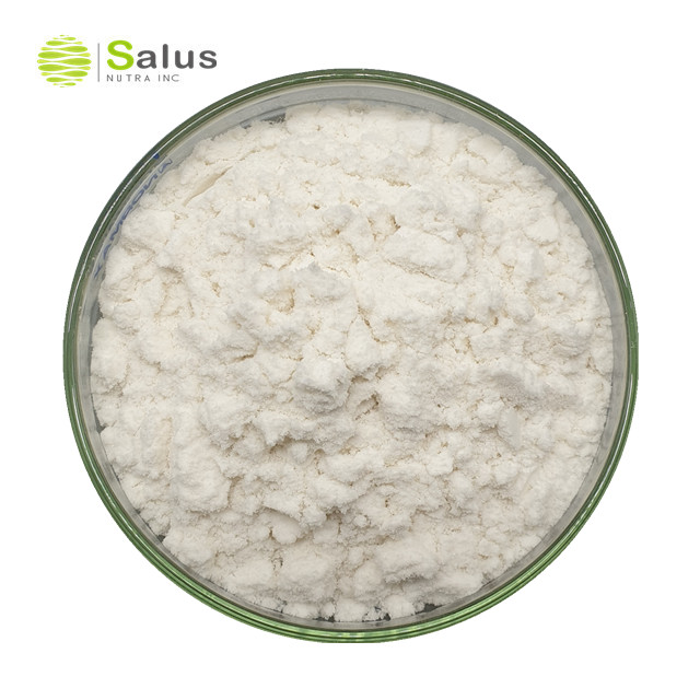 Salus предлагает порошок сукразы 60000 Su/g