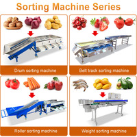Mijn automatische knoflook sorteermachine, fruit- en aardappelsorteermachine, dadelwas- en sorteermachine
