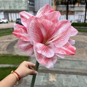 LO-610 Vente en gros 64cm Fleur artificielle réaliste au toucher humide Clivia à tige unique <span class=keywords><strong>Amaryllis</strong></span> Fleur artificielle pour la décoration de la maison - Product Image 2