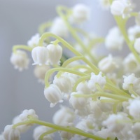 Buket Bunga Lily of the Valley Buatan Realistis Grosir, Sentuhan Lembut, Bunga Lonceng Putih untuk Dekorasi Rumah, Pernikahan, Hotel