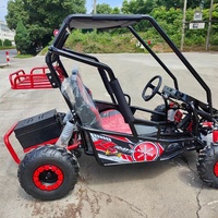 Karting tout-terrain - Kartings électriques pour adultes à partir de 5 ans, 48V 500W 35 km/h, utilisation en extérieur, buggy tout-terrain