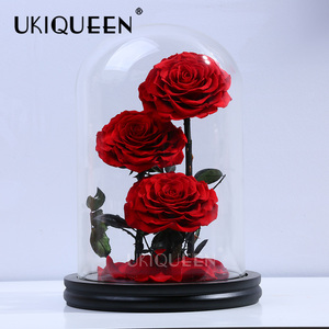 Rojo fresco rosa de la <span class=keywords><strong>belleza</strong></span> <span class=keywords><strong>eterna</strong></span> encantado siempre flores rosa en cúpula de vidrio - Product Image 1