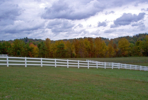 4 레일 아연 도금 울타리 말 울타리 패널 - Product Image 5