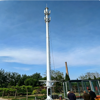 Tour monopode en acier galvanisé Q235B de 30 m à longue durée de vie pour couverture Wi-Fi complète, idéale pour les zones industrielles et les nouvelles banlieues