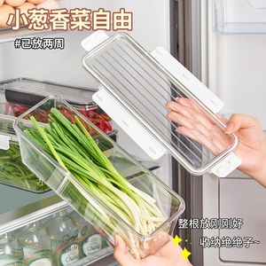 Boîte de conservation rectangulaire pour coriandre et oignon vert avec couvercle à clipser, organisateur de réfrigérateur pour légumes frais - Product Image 3